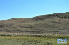 牛牛游戏网址_牛牛游戏网站_牛牛游戏官网_羊群在内蒙古兴安盟境内的草原上吃