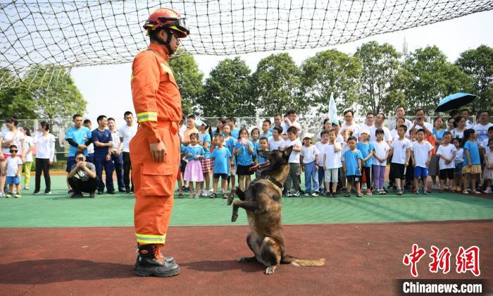 消防员、搜救犬现场给孩子表演。　刘忠俊 摄